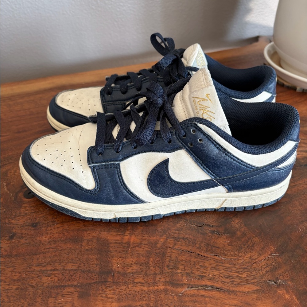 Low Dunk Nike Women’s Shoes